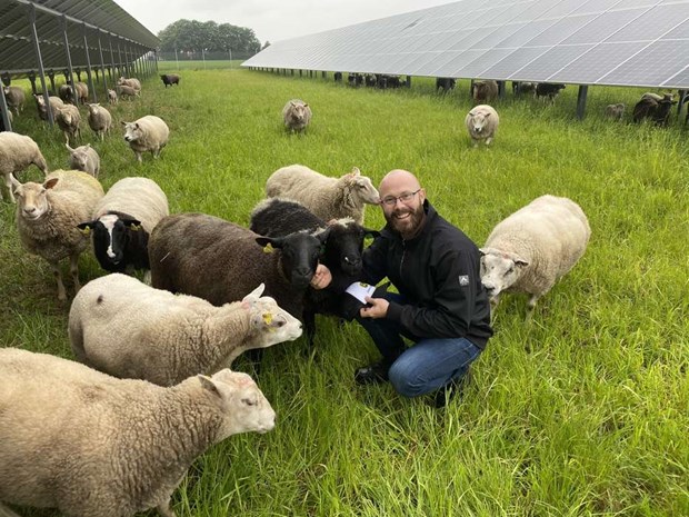 Fårbondens solklara idé gör dubbel nytta Fårbondens solklara idé gör dubbel nytta