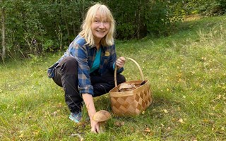 Här gömmer sig svamparna – nästan mitt i stan