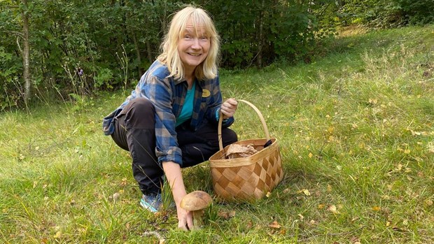 Hr gmmer sig svamparna  nstan mitt i stan 