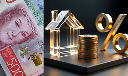 Bankerna snuvar hushllen p rntesnkningarna