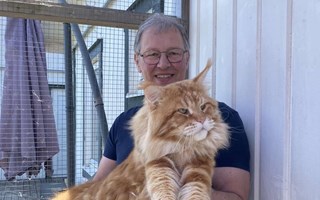 I Ugglarp regerar jättarna med mjuka tassar